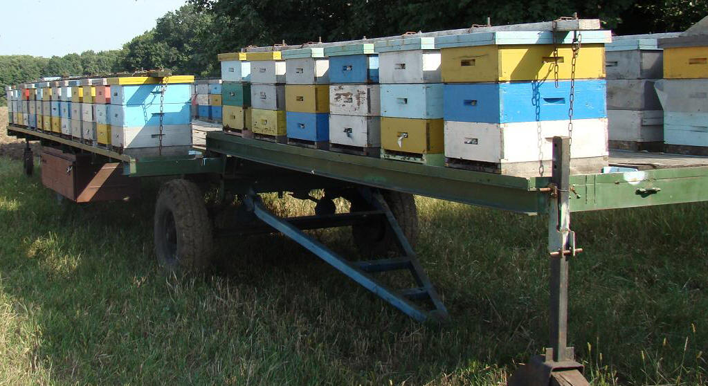 Как сделать прицеп для перевозки пчёл своими руками
