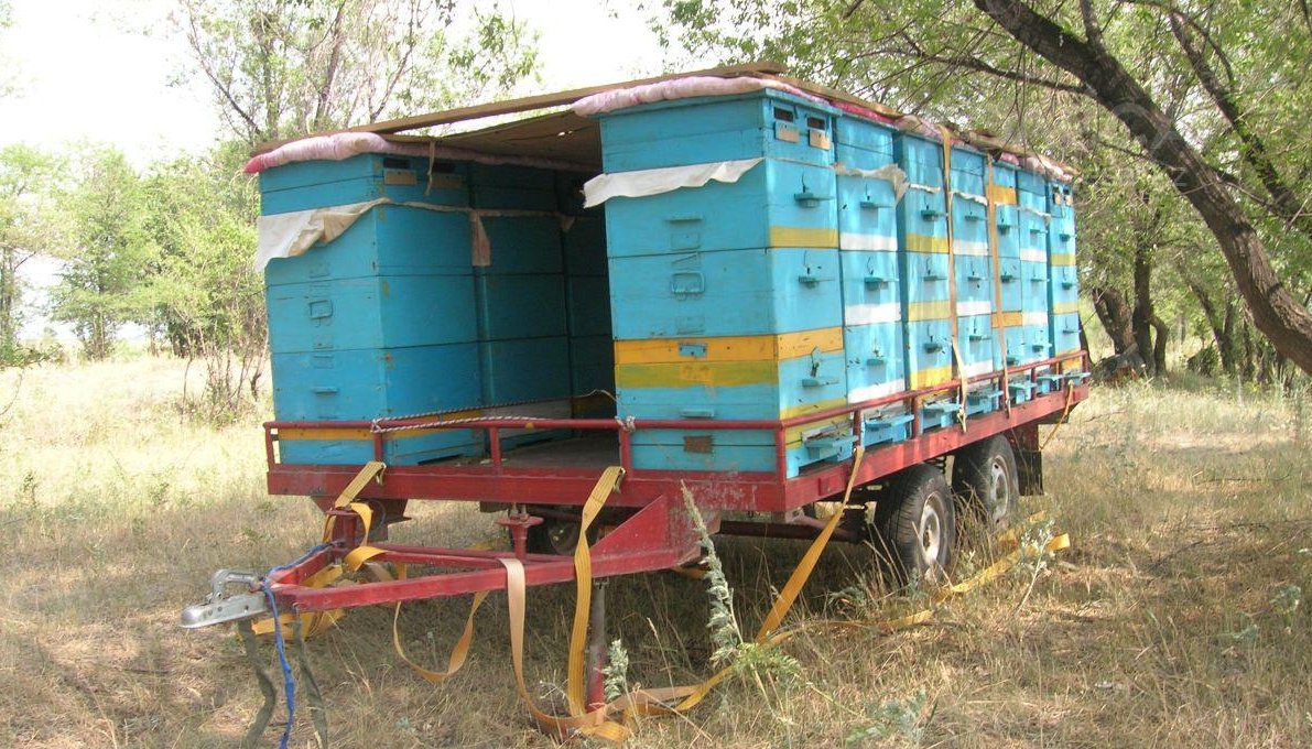Платформа для перевозки пчел: виды, модели кочевых пасек, как сделать прицеп своими руками