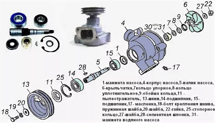 Предназначение водяного насоса и признаки его неисправности в грузовике КАМАЗ 55111 Эффективность ремонта мотонасоса своими руками